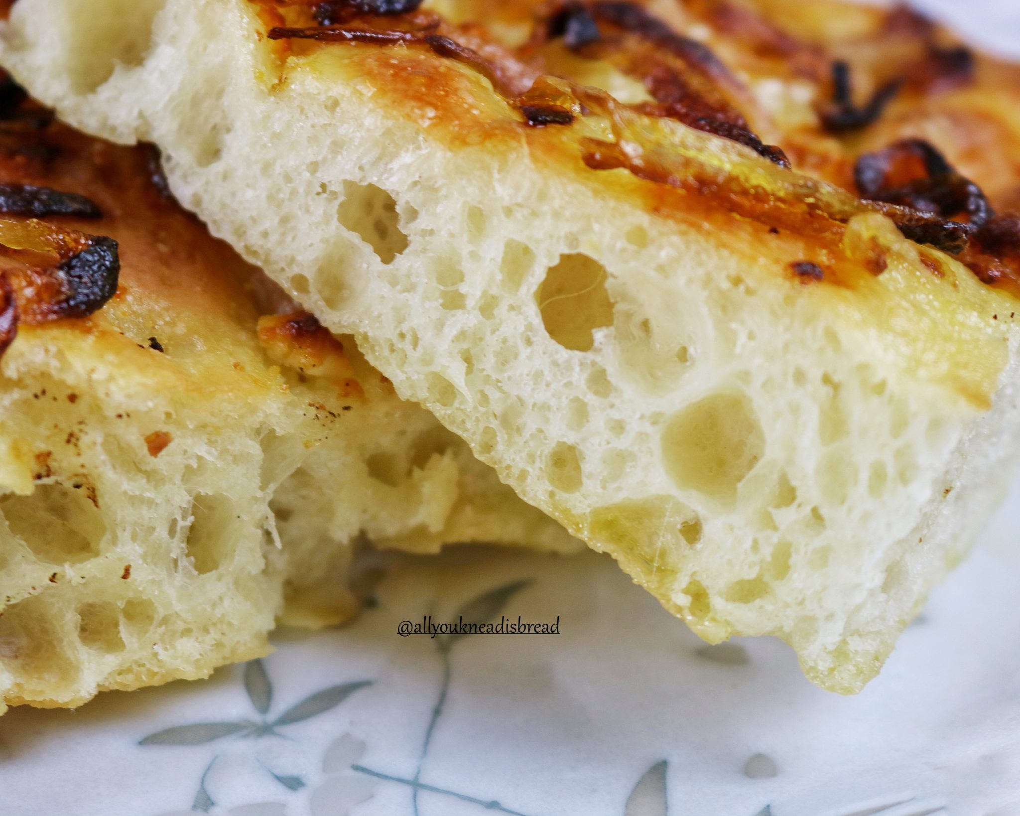 EASY No-Knead Focaccia Bread
