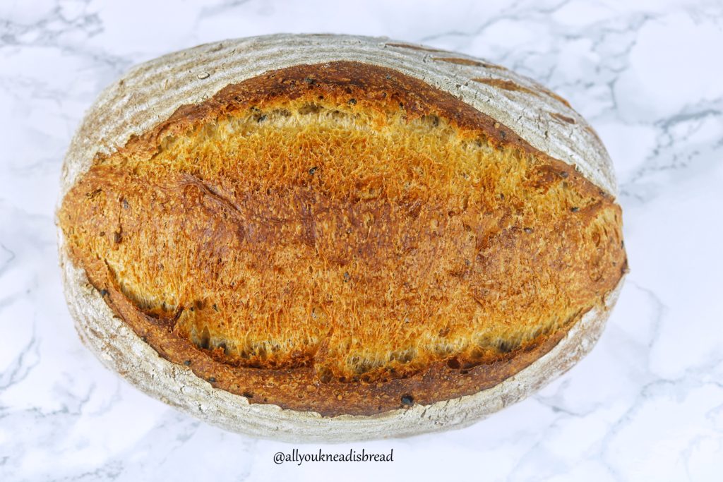 Fiber Packed Loaf All You Knead Is Bread