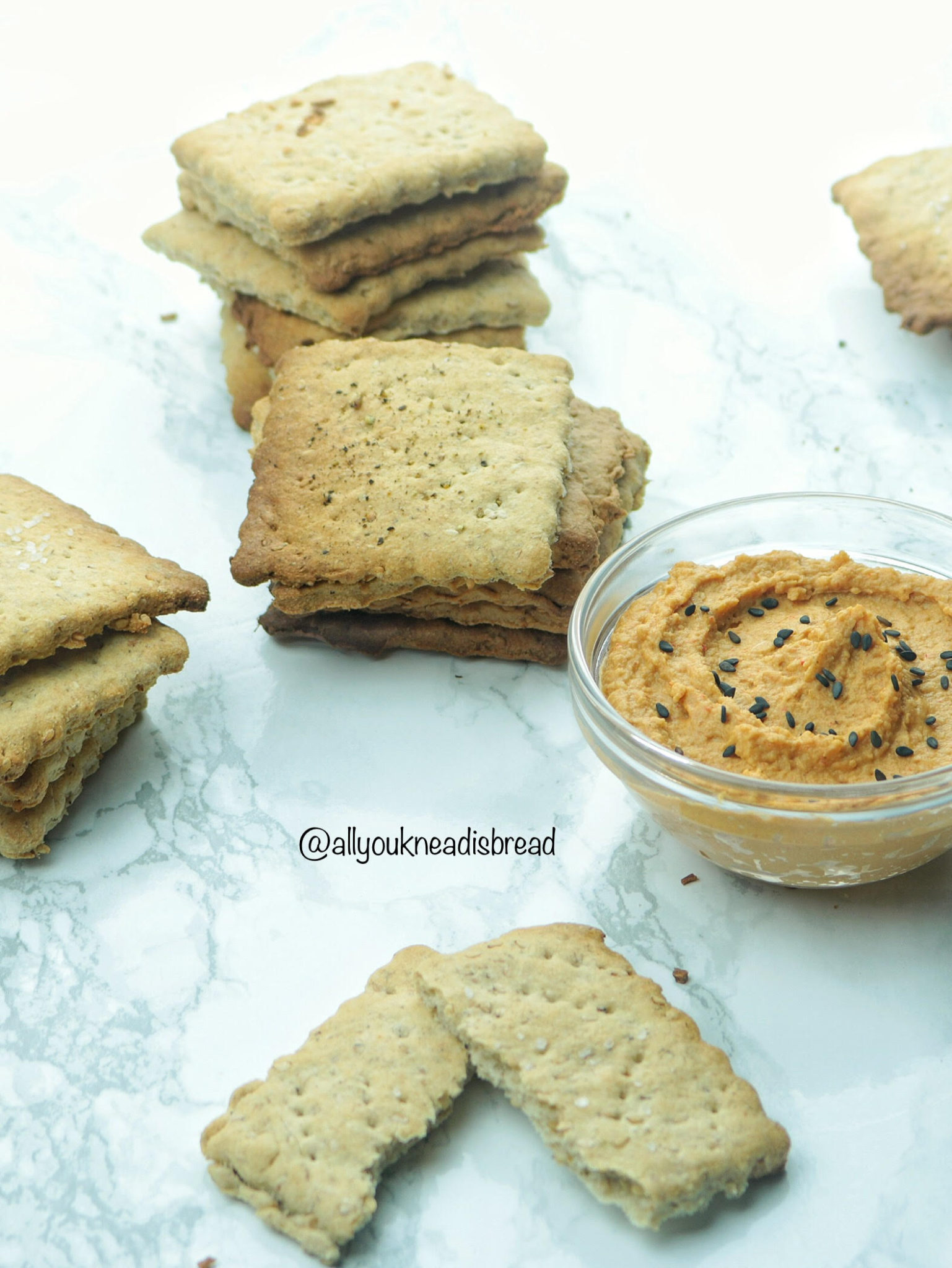 hummus and crackers
