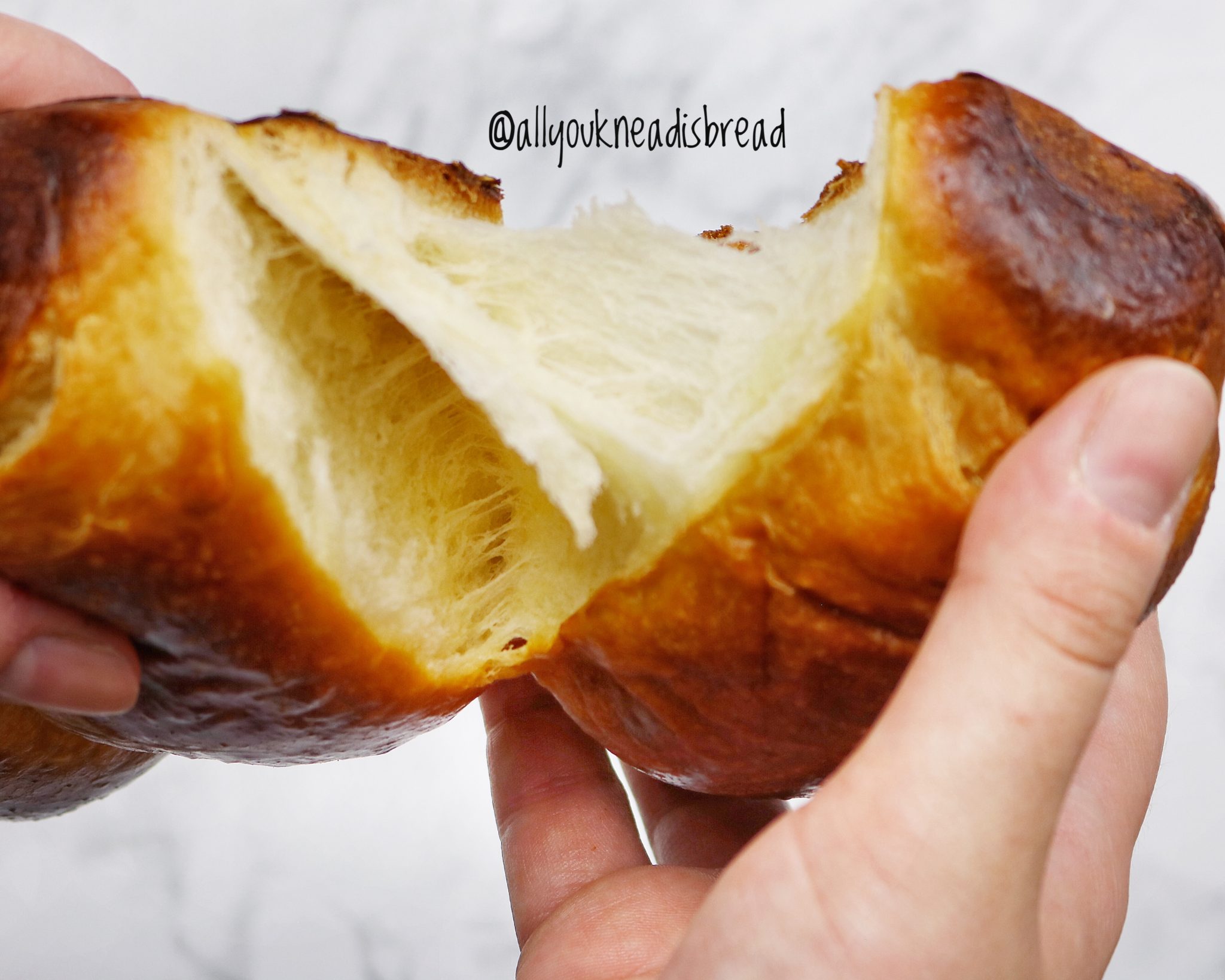 brioche with sourdough discards science bread