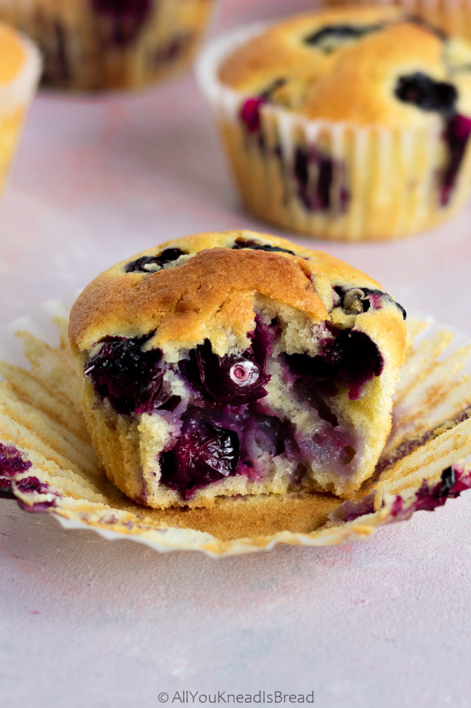 Sourdough Blueberry Muffins - All you knead is bread