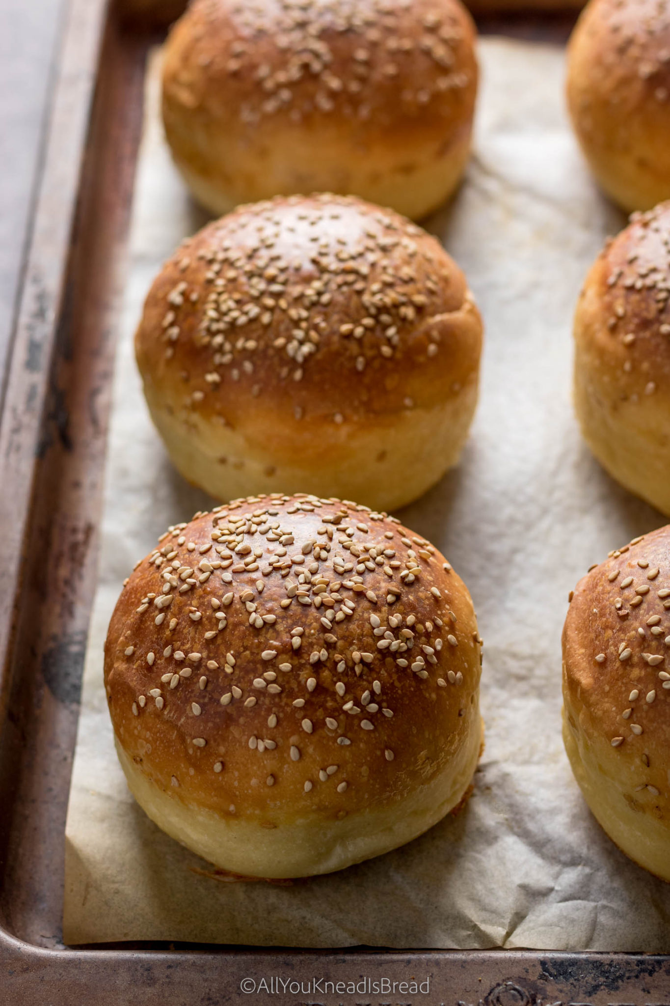 Perfect Sourdough Burger Buns - All you knead is bread