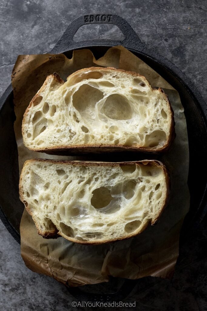 Open, airy sourdough crumb structure from high-protein bread flour