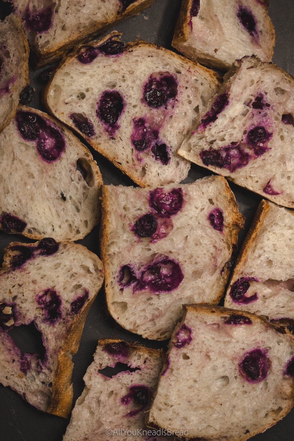 The Best Blueberry Sourdough Bread - All you knead is bread
